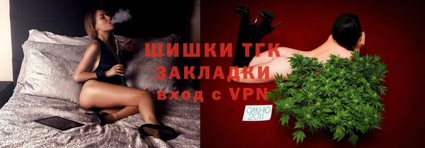шишки Верея