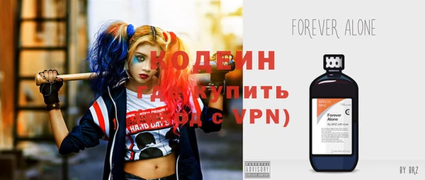 шишки Верея