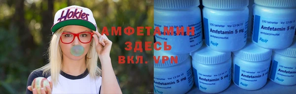 шишки Верея