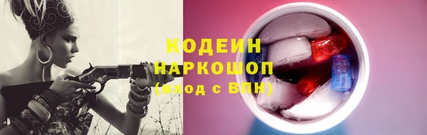 шишки Верея