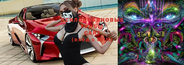 шишки Верея