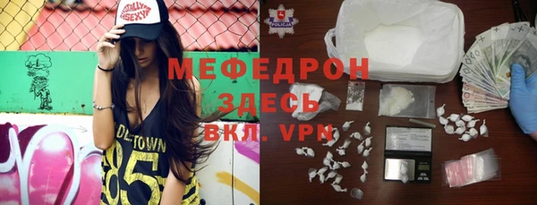 индика Богданович