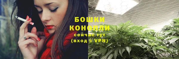 шишки Верея